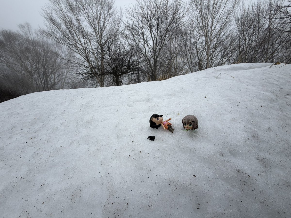 dai..._ヤマノススメ雪村あおい_🗻 tweet media
