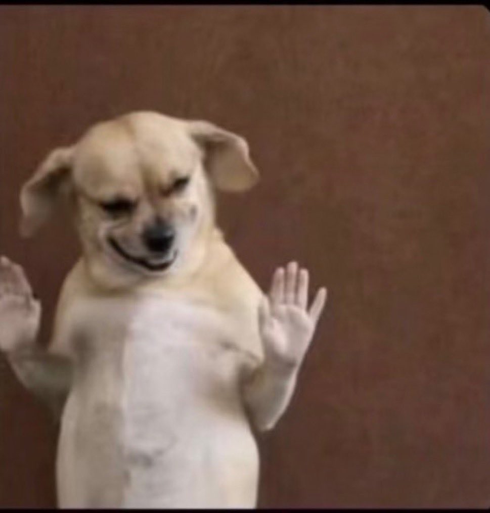 🏁 Old Head Shawt 🏁 tweet media