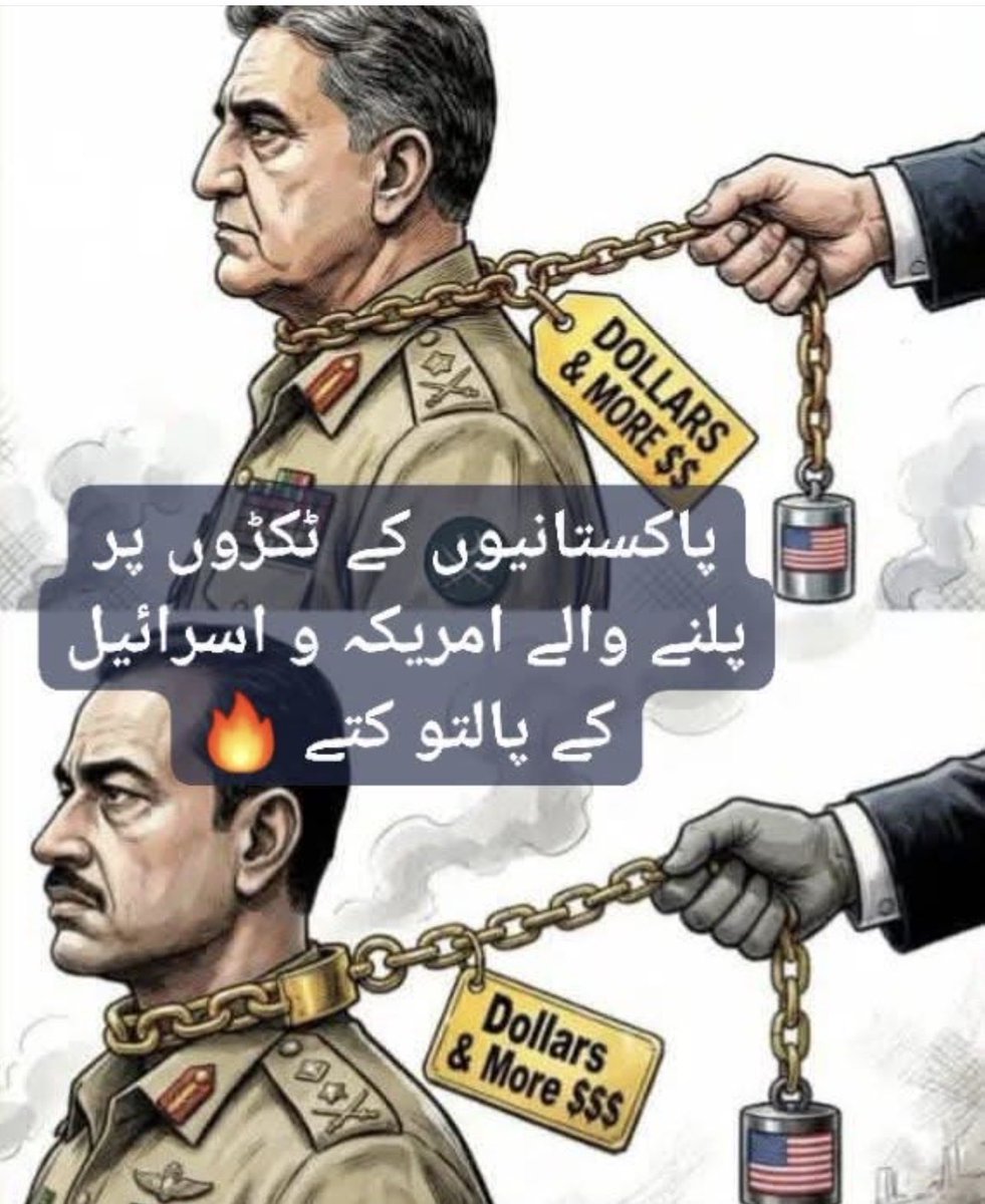 out landish tweet media