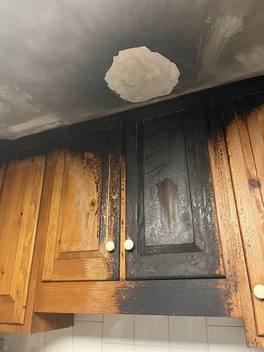 faemoose tweet media