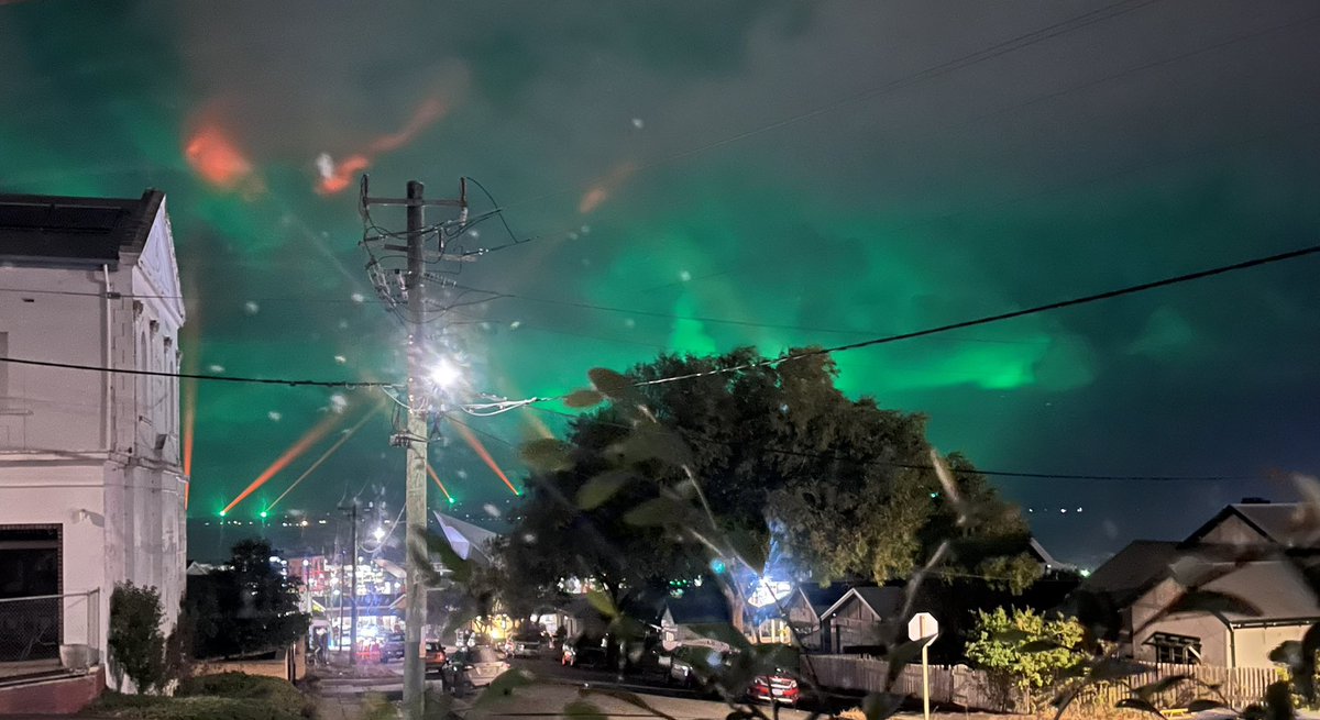 Shauna Dale 🐋 tweet media