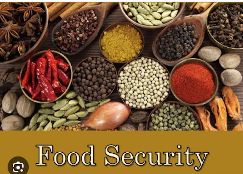 THISDAY LIVE tweet media