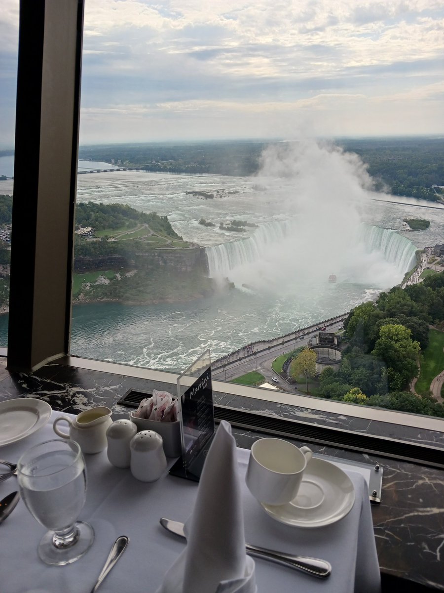 Roaring Hammy 🏇🌹 tweet media