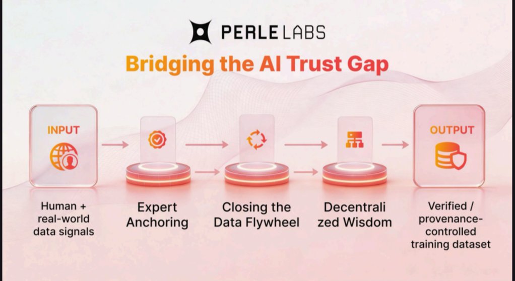 🌱 𝗖𝗿𝗼𝘄𝗻𝗗𝗘𝗫 | 🌶️ tweet media