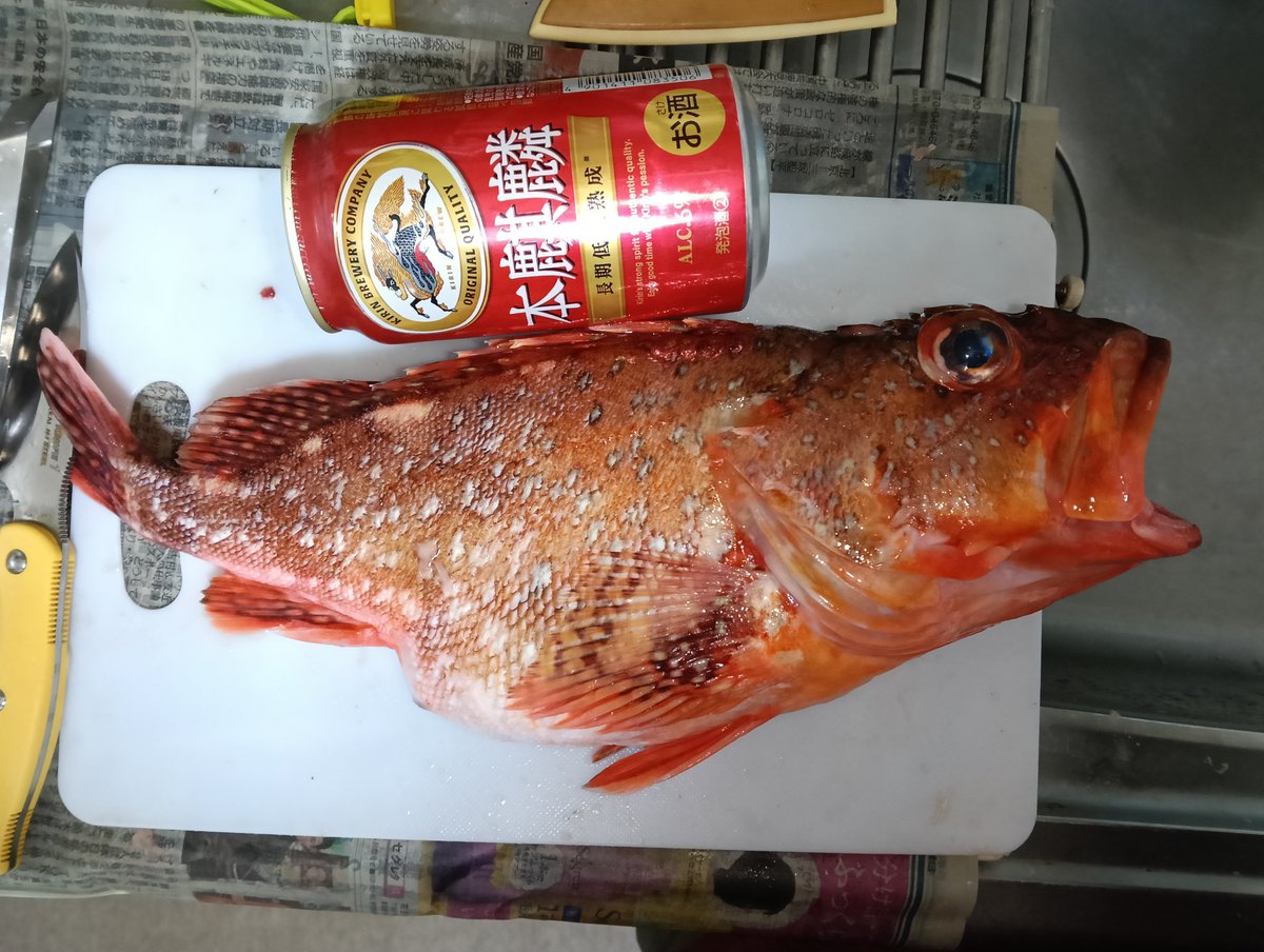 locusta_cw tweet media