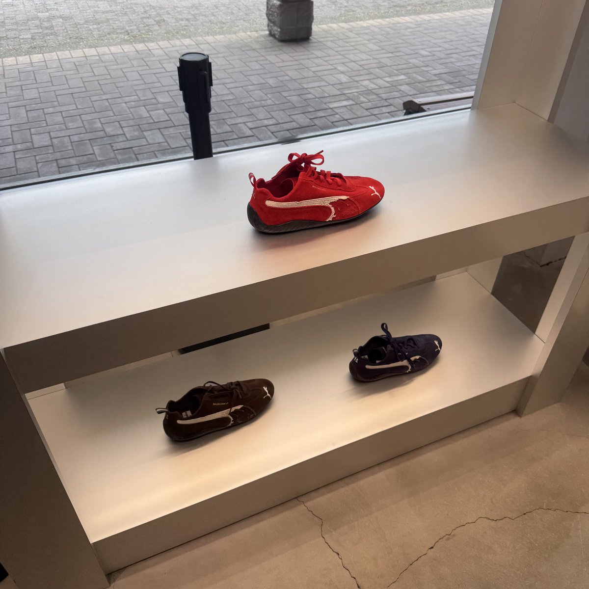 にゃんぽこ tweet media