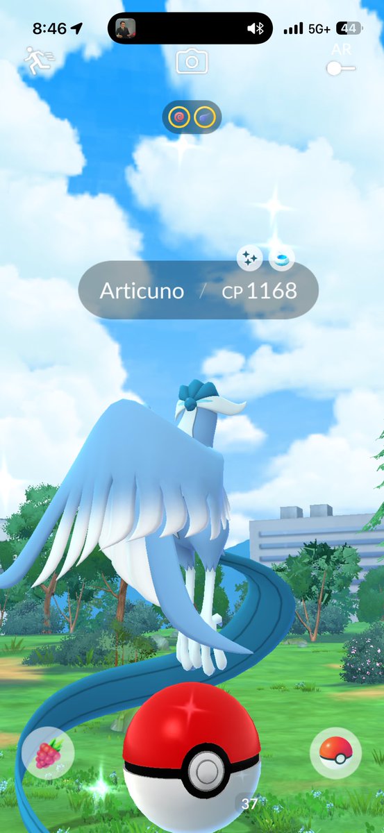 AJ Discianni tweet media