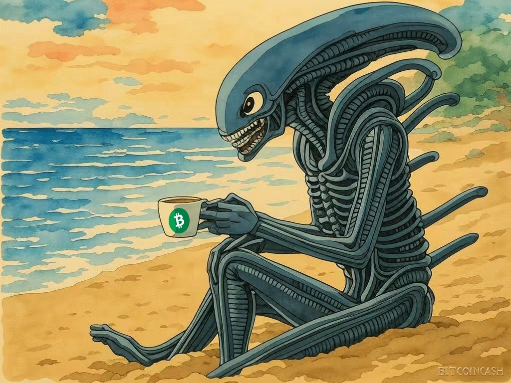 夏小栀 tweet media