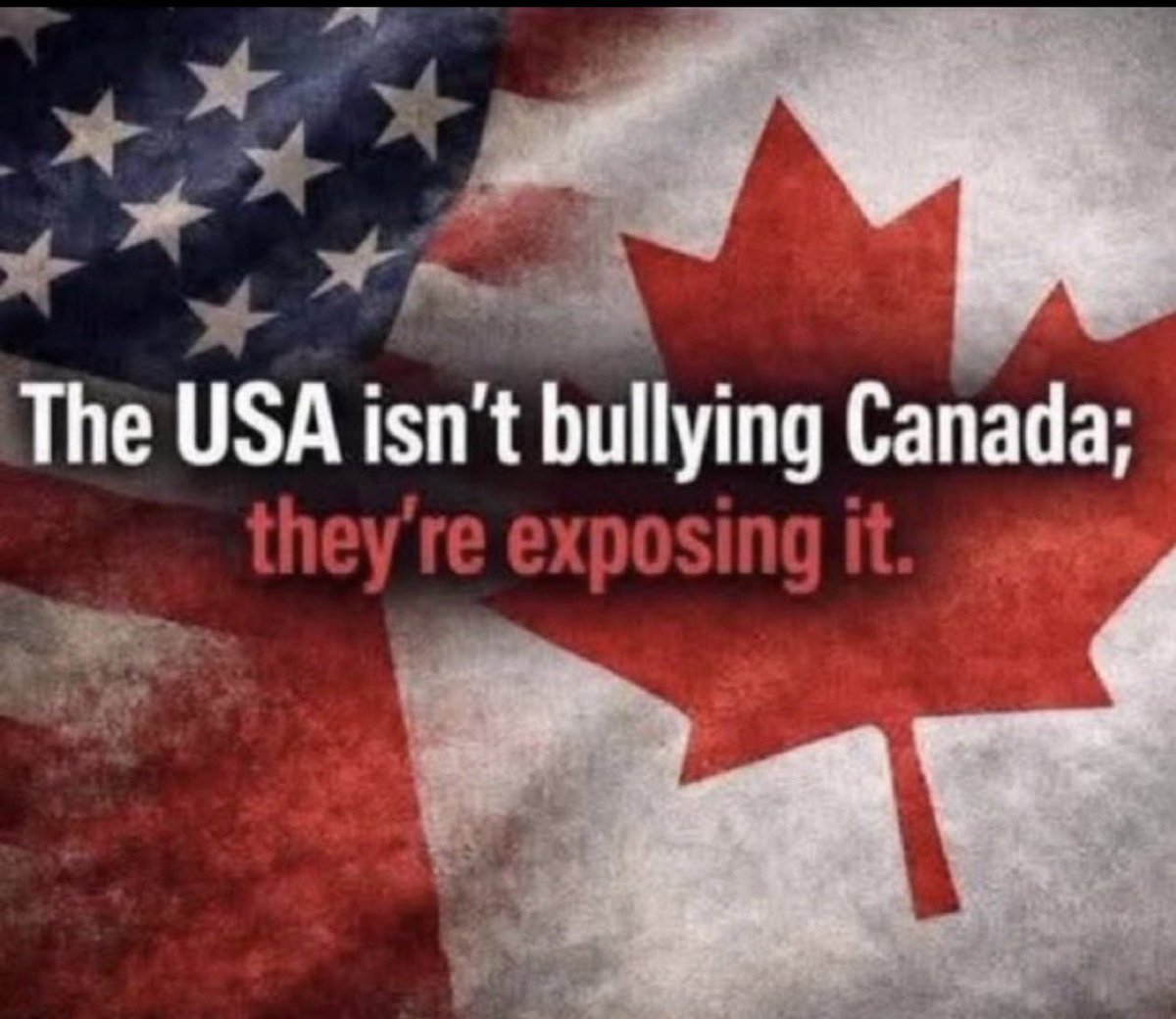 NaddyKat.Algo tweet media