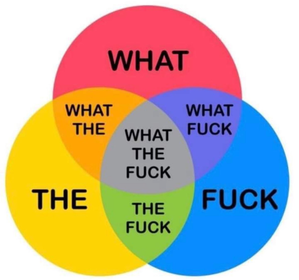 G Gibbons 🇺🇲 tweet media