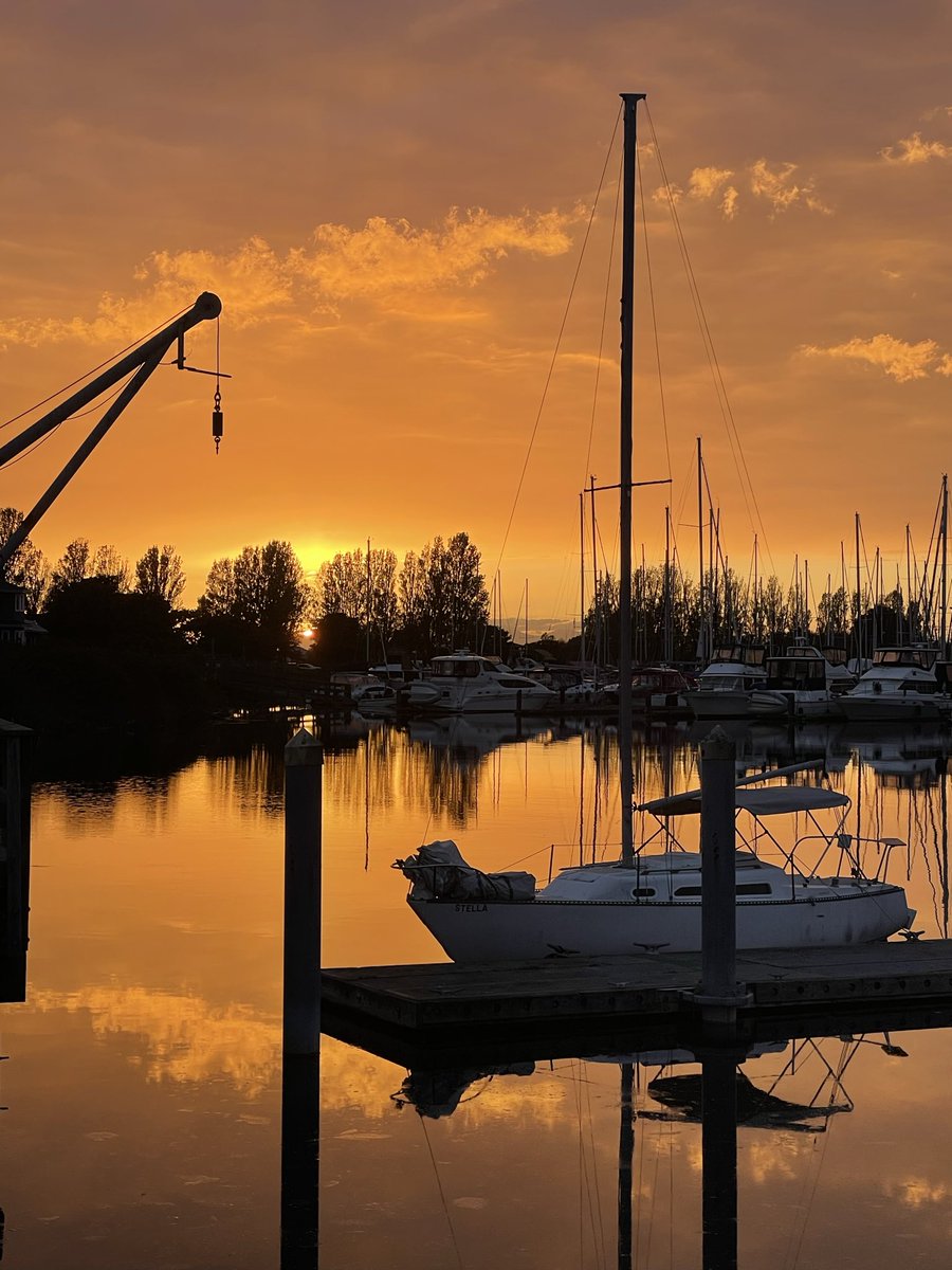 Linda with an 👁️. 🌻 ☮️ tweet media