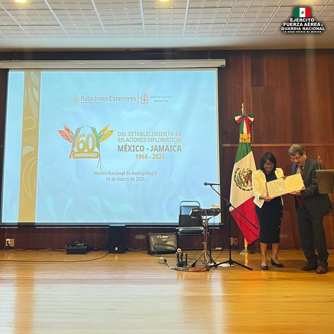 @Defensamx tweet media