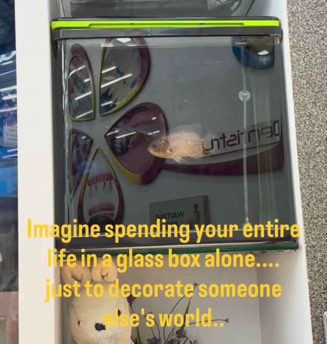 Shwee 🦦 tweet media