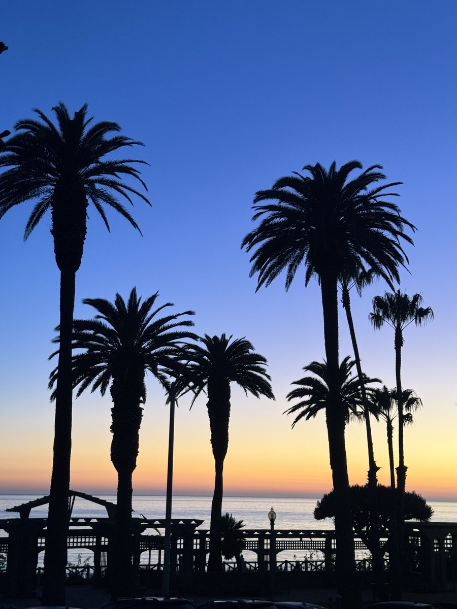 Tom Hall ☘️ tweet media