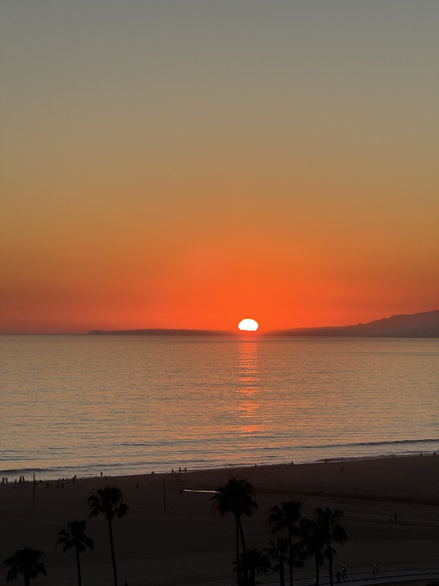 Tom Hall ☘️ tweet media