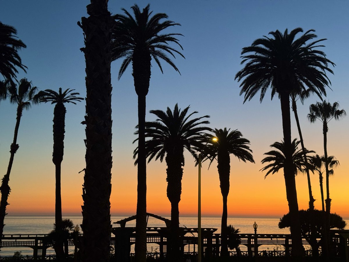 Tom Hall ☘️ tweet media