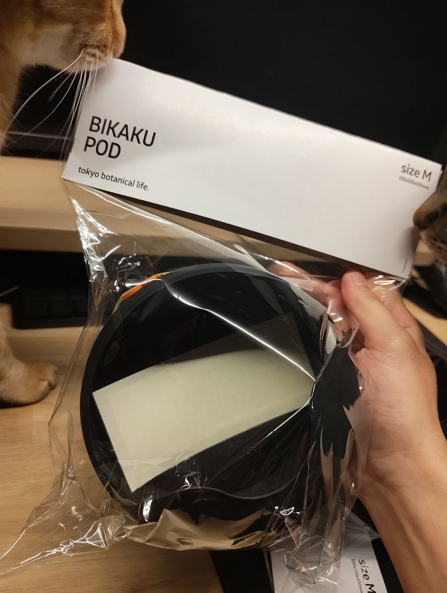 はちみつ tweet media