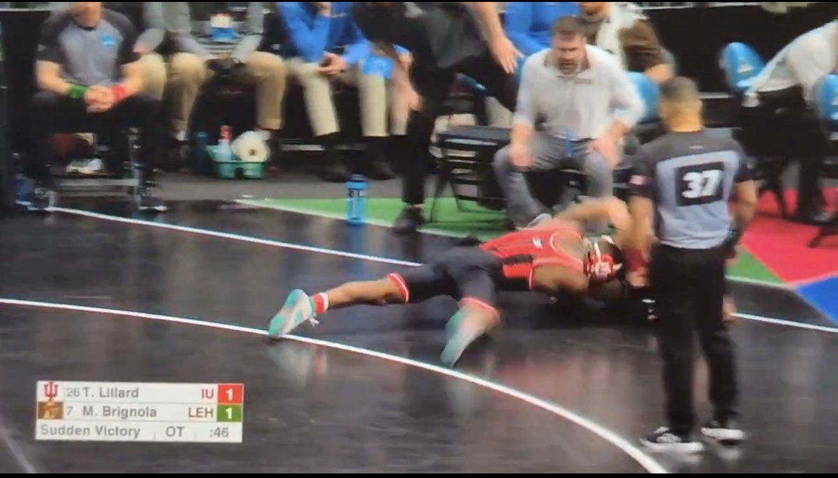 Mikehawk tweet media