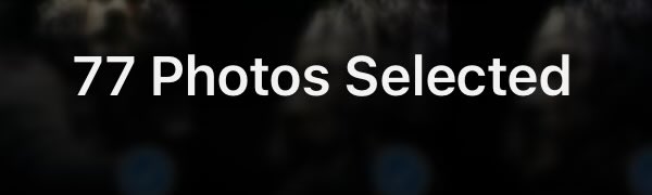 snail .ᐟ tweet media