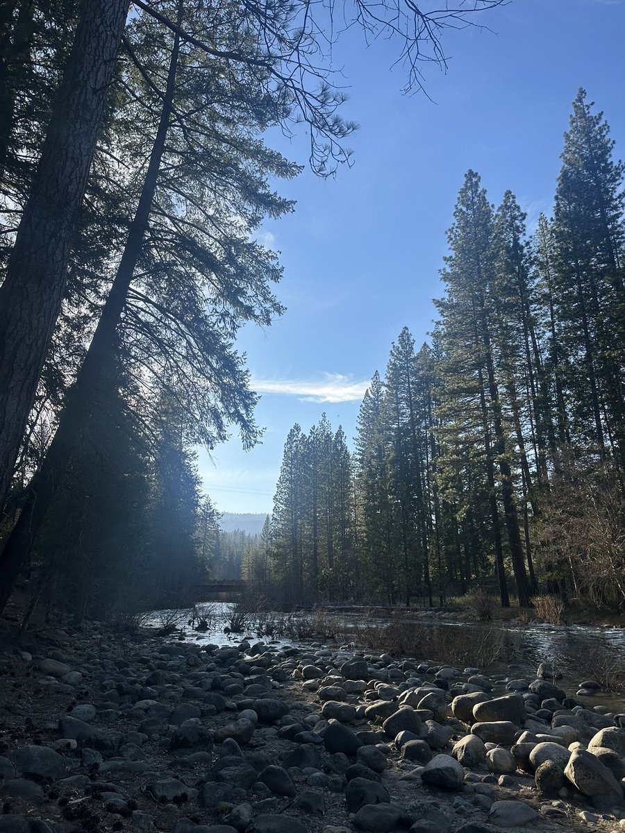 Morla Gorrondona tweet media