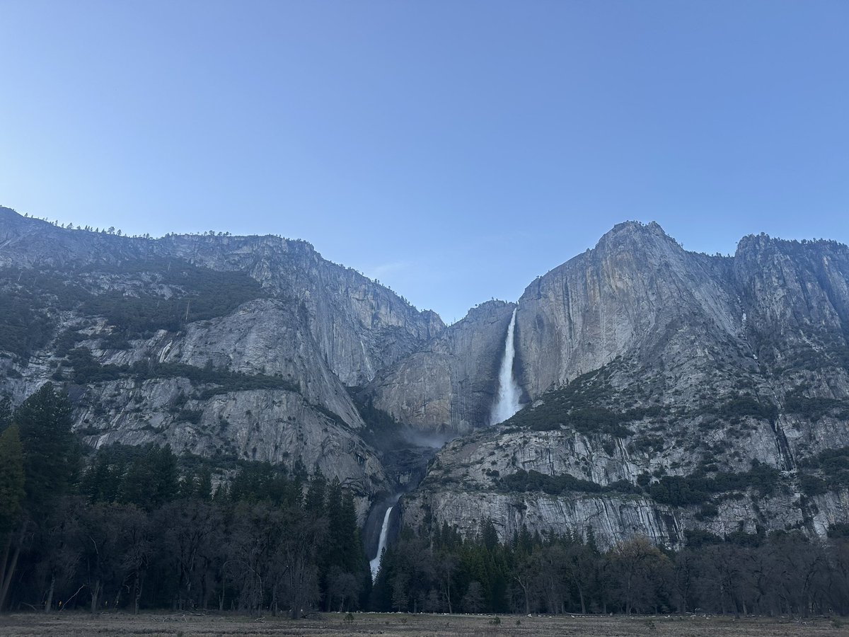 Morla Gorrondona tweet media