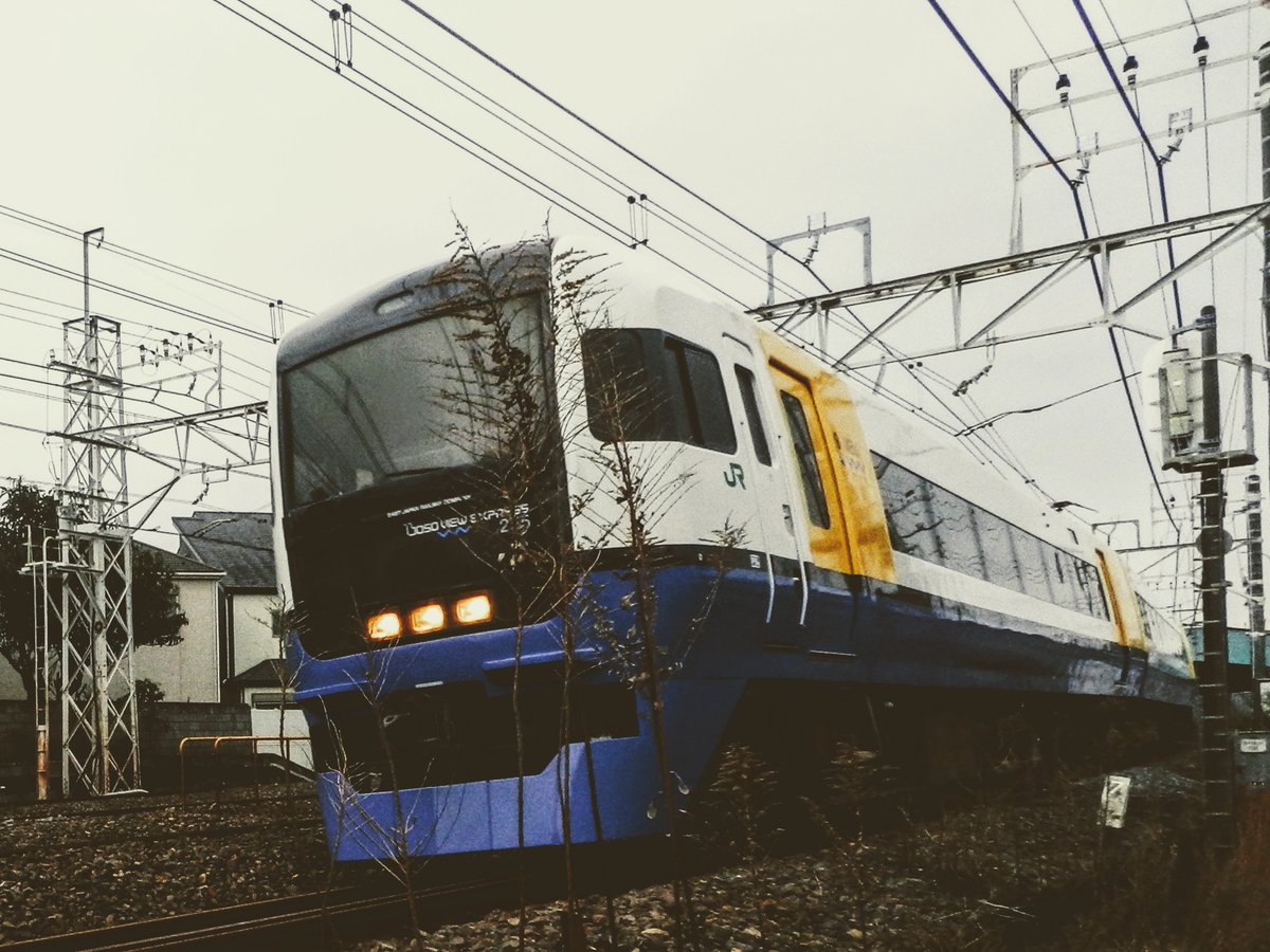 karintamai's tweet photo. 菜の花と潮
photo by co-iruka with P500.
トリミング あり
#E255
#臨時列車
#しおさい 51号 https://t.co/VPae49PFMA