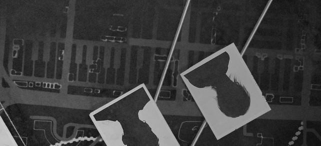 dizzy 💫 tweet media