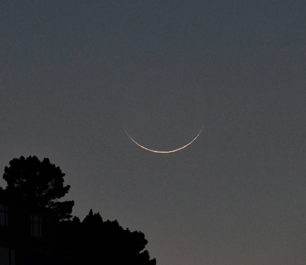 Paul Saffo tweet media