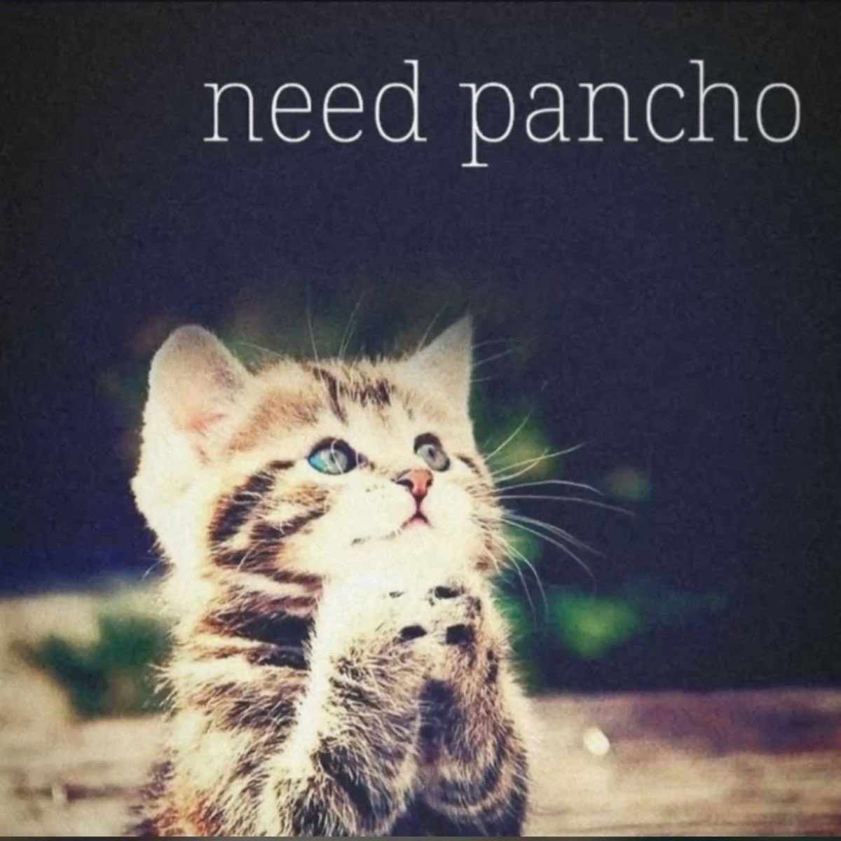 ♱ (@bal33ncii) on Twitter photo 