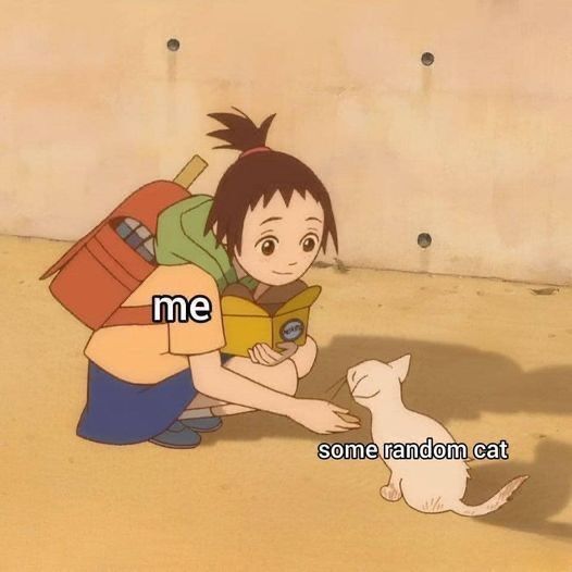 Anime Posts tweet media