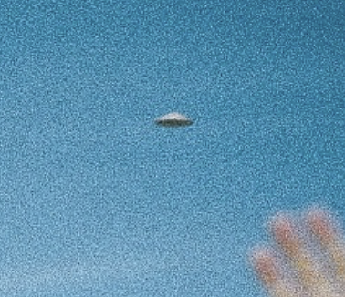 Heavy Pulp tweet media