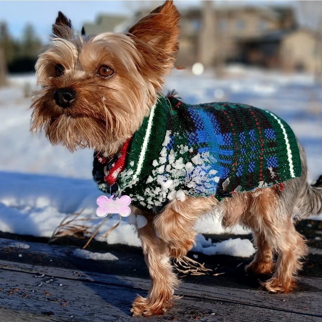 Martyupnorth®- Unacceptable Fact Checker tweet media