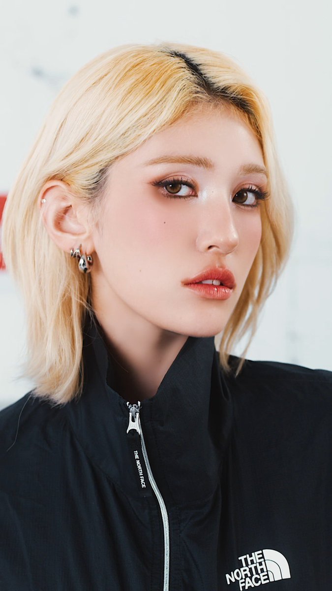 솜털댕 tweet media