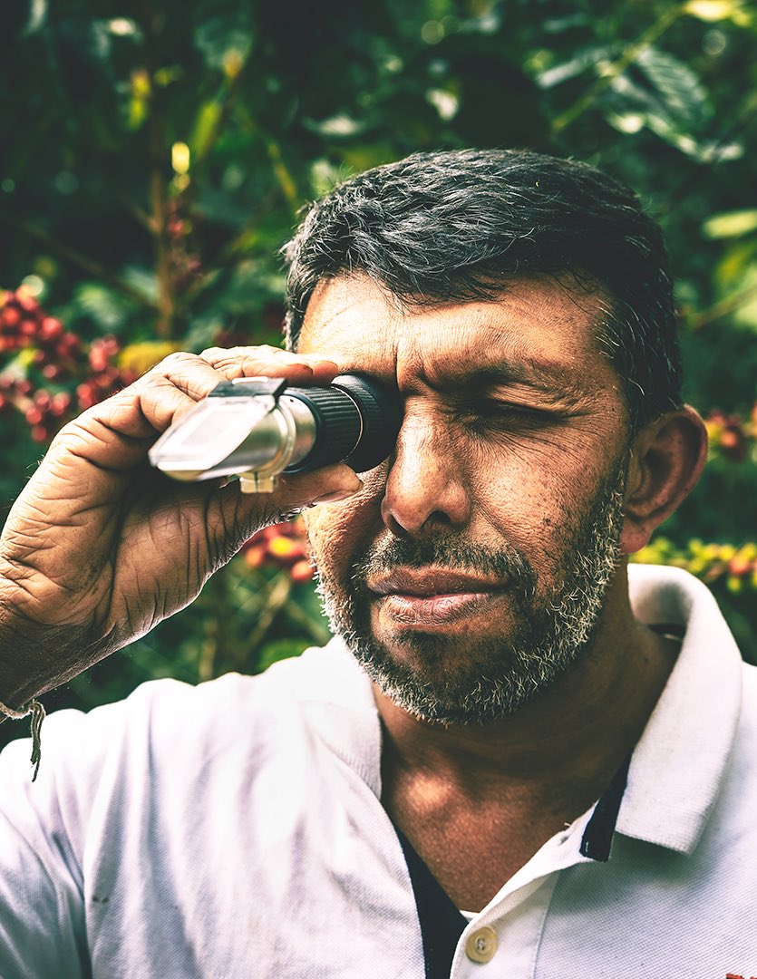 Son of the Morning Light tweet media