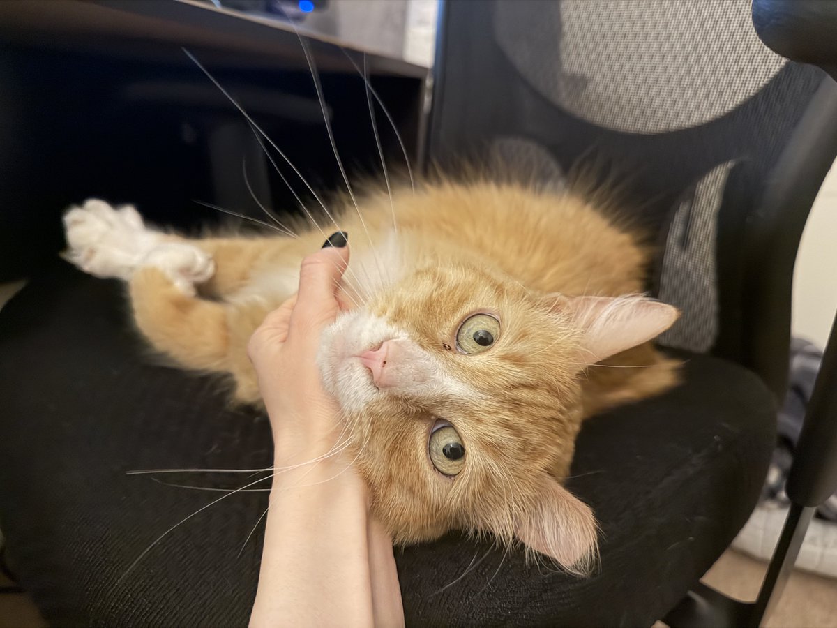 Crisis of Conscience tweet media