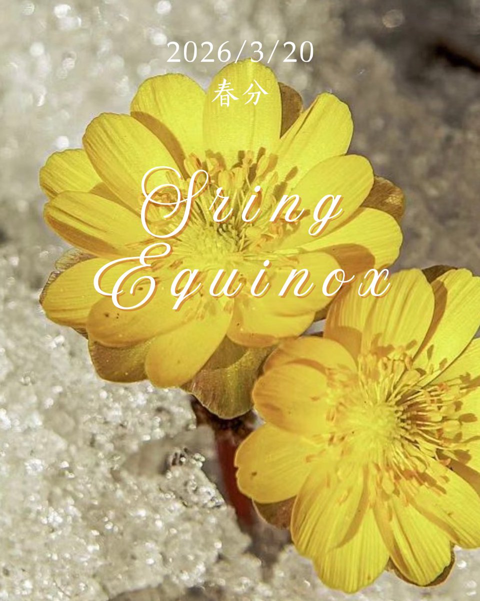 Discover Harbin tweet media