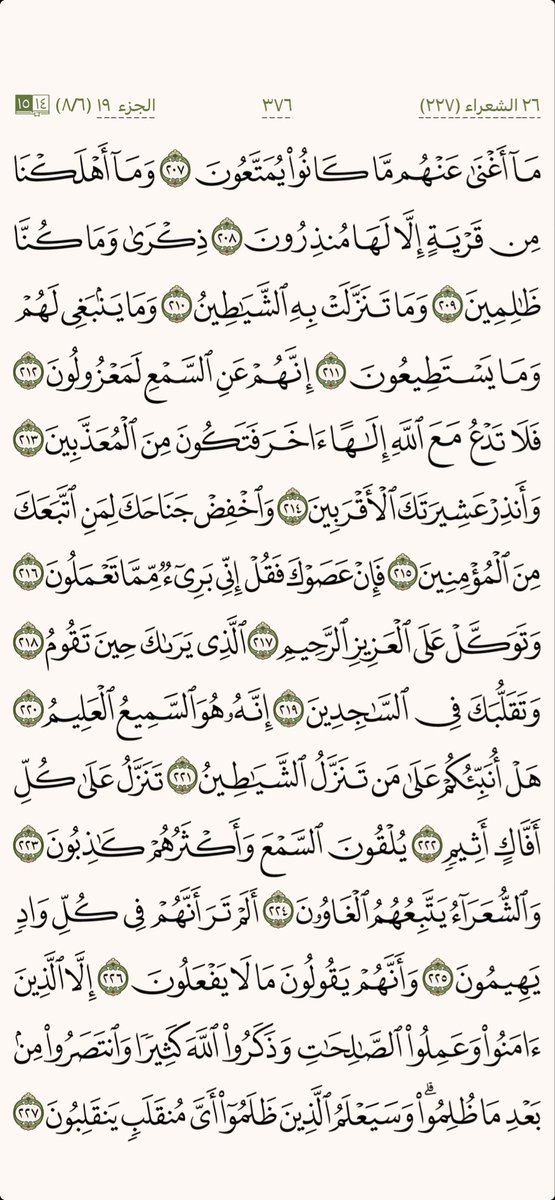 كل يوم صفحة tweet media