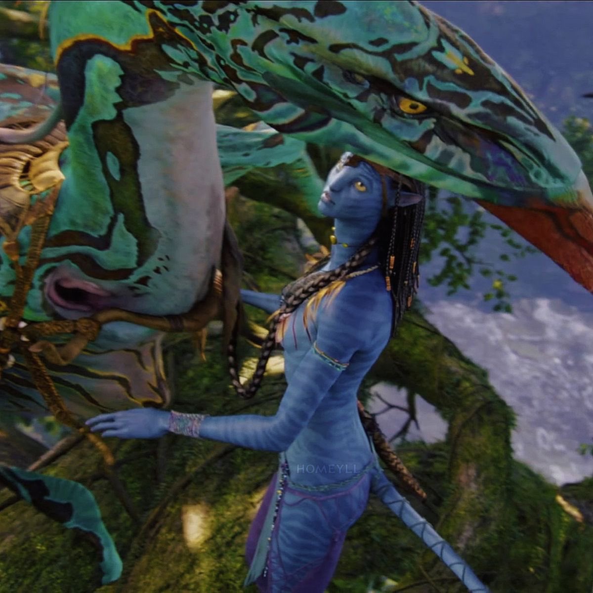 ︎ ︎ ︎ ︎ ҂ .; 𝘁𝗵𝗲 𝐓𝙸𝙶𝚁͟𝙴͟𝚂͟𝚂͟。͟ tweet media