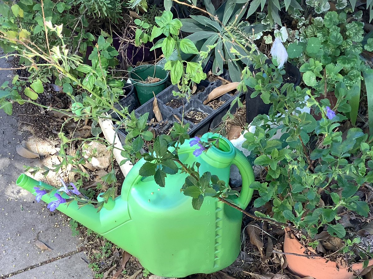 Ron Jones tweet media