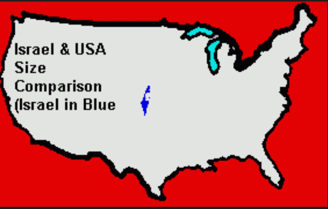 Cuckturd tweet media