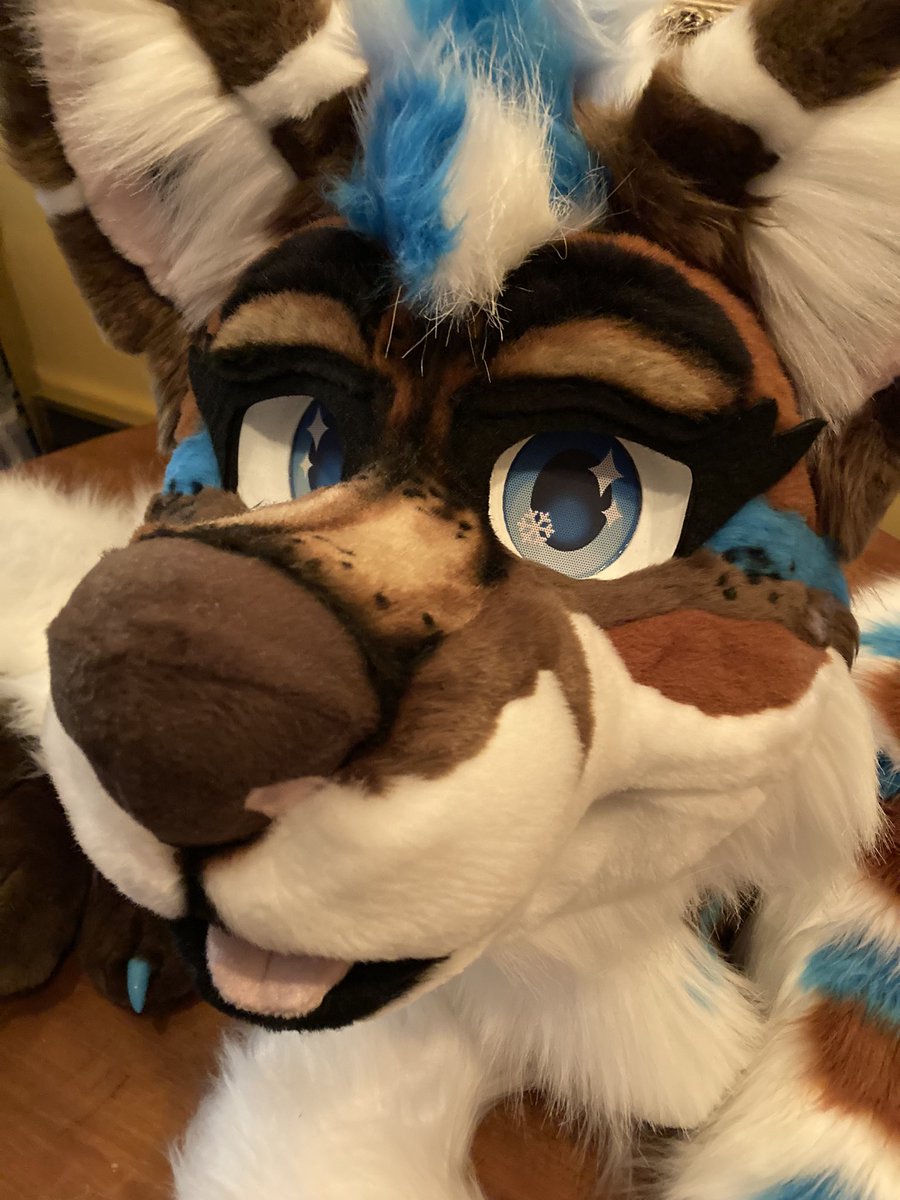 TiredGremlin335 tweet media