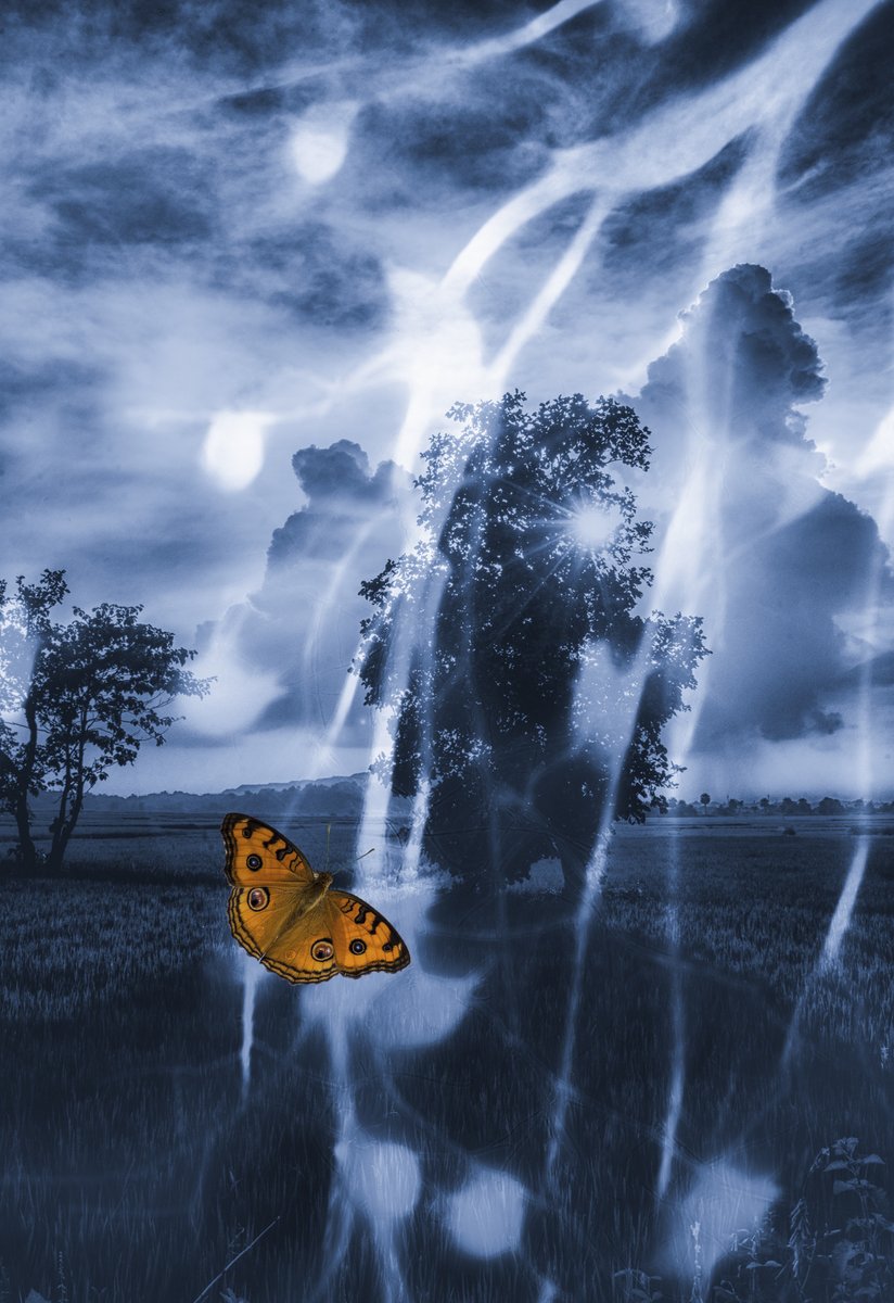 Arimita Mondal (Diti) 📸📸📸 tweet media