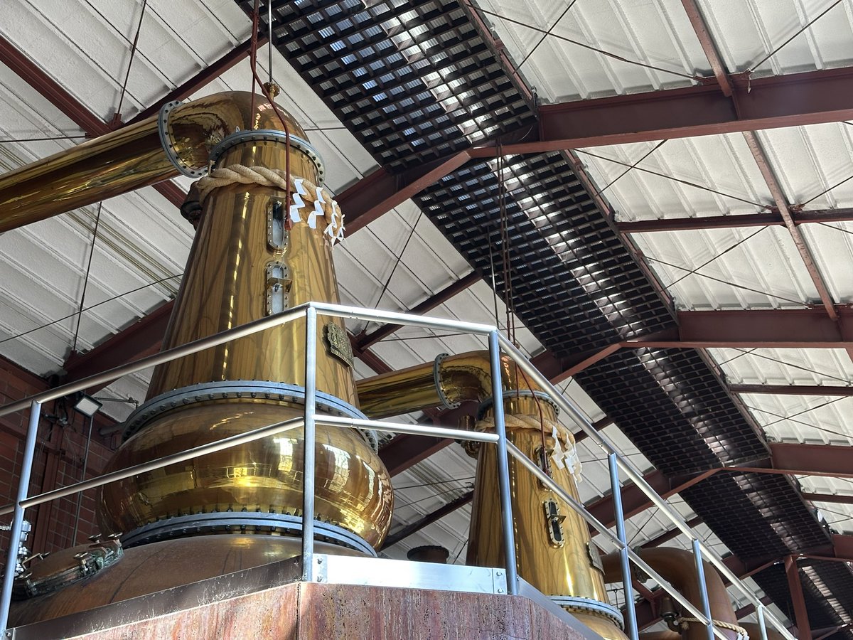 らんでぃ(じぇー) tweet media