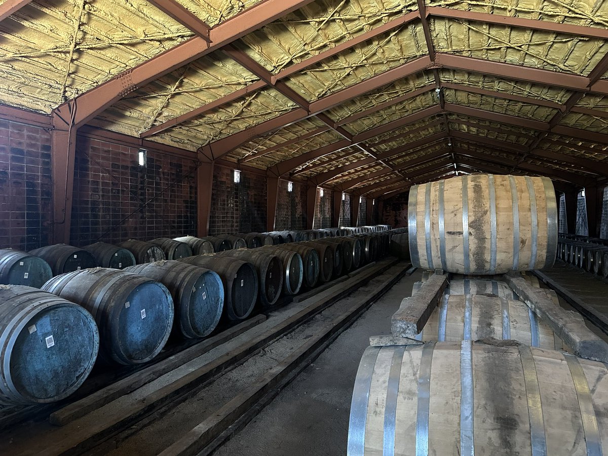 らんでぃ(じぇー) tweet media