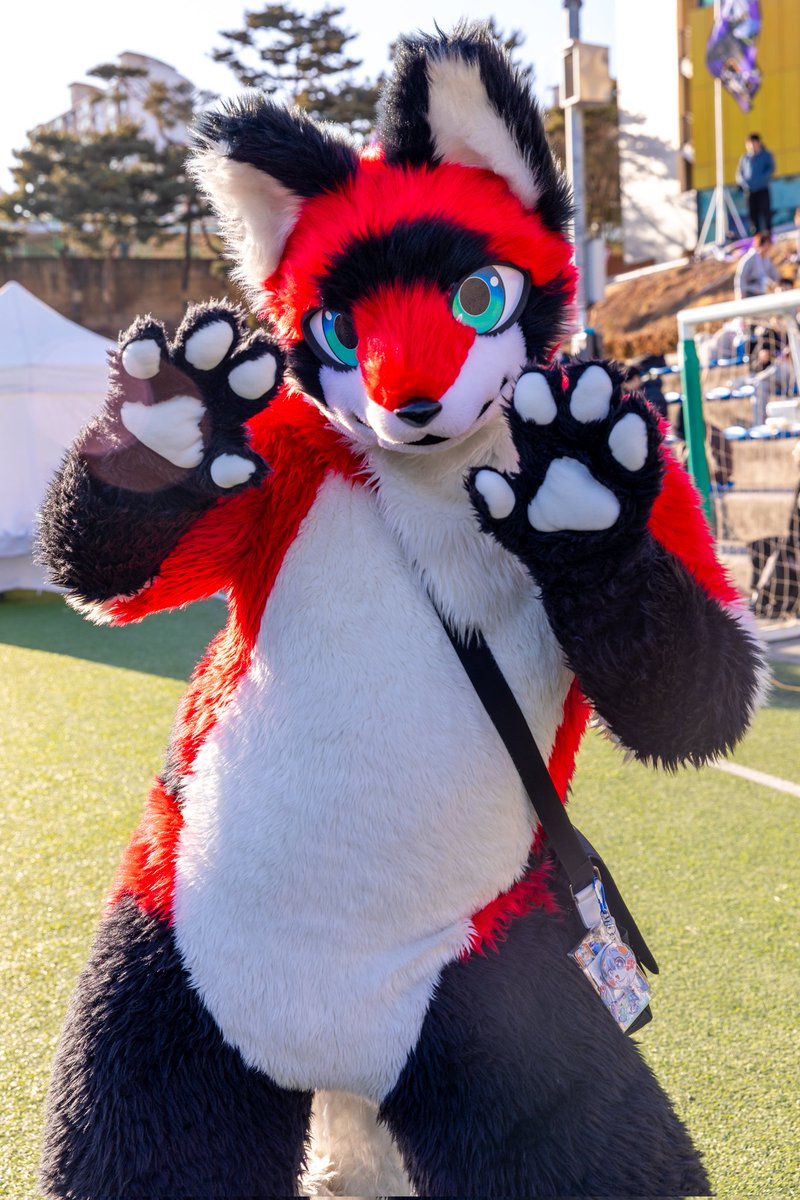 #FurryJoA #퍼리조아 #Production_Taiikukan #프로덕션_체육관 #FursuitFriday マグーダ🍓マグ ...