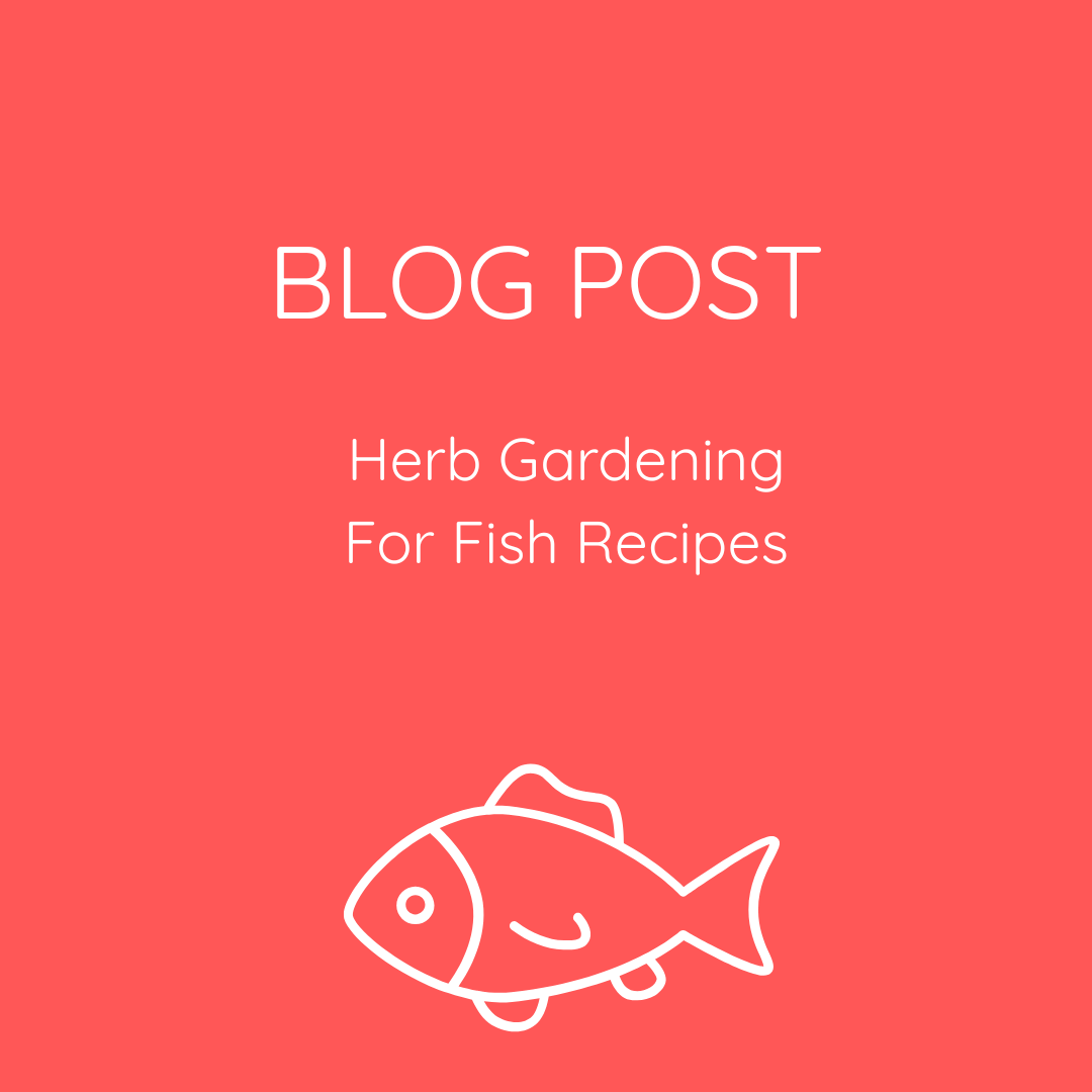 SowGrowFeast's tweet photo. Want to grow your own food but not sure where to start? 👉https://t.co/VnVlKt6VJS
#growyourown #growyourownfood #beinggardening #vegetablegardening #fruitgardening #herbgardening #gardening #feedyourfamily #honestfood #fishrecipes #herbsforfish https://t.co/XjF9xk1OwH