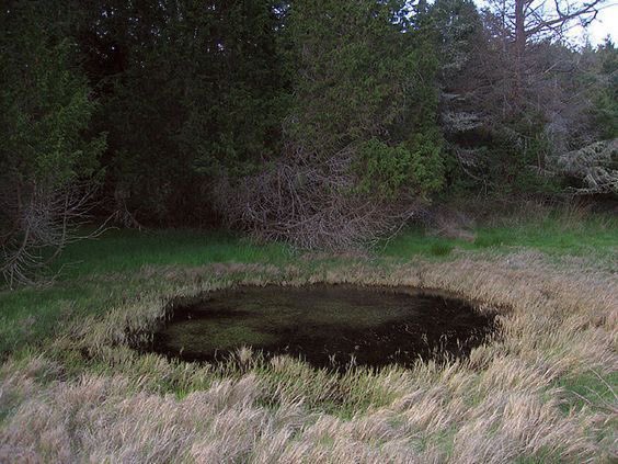 ℜ𝔞𝔢 tweet media