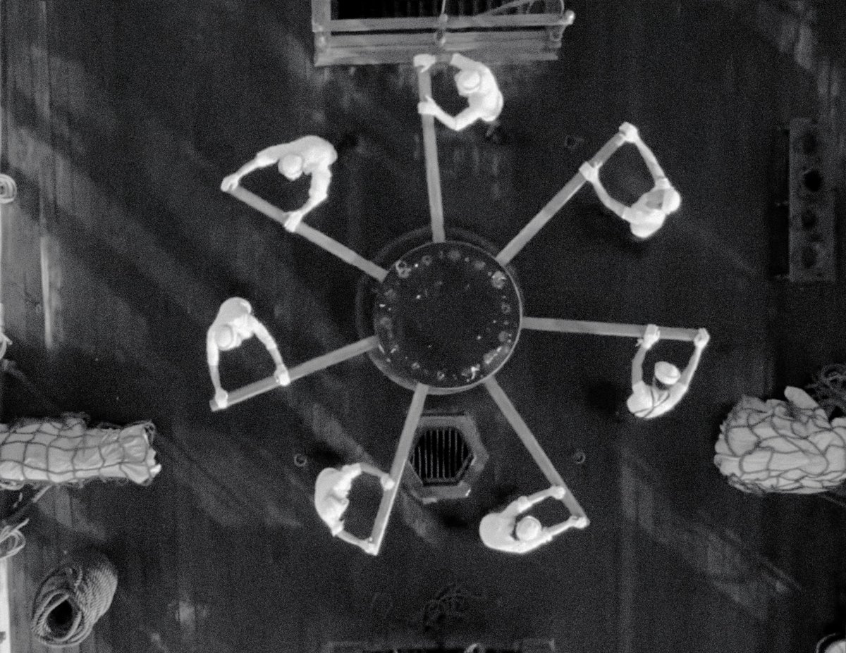 mer 🪭 tweet media