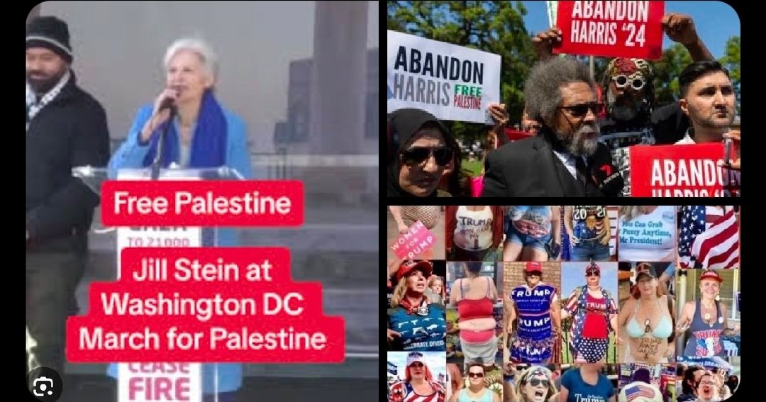 Christine 🇺🇲 🇩🇪 tweet media