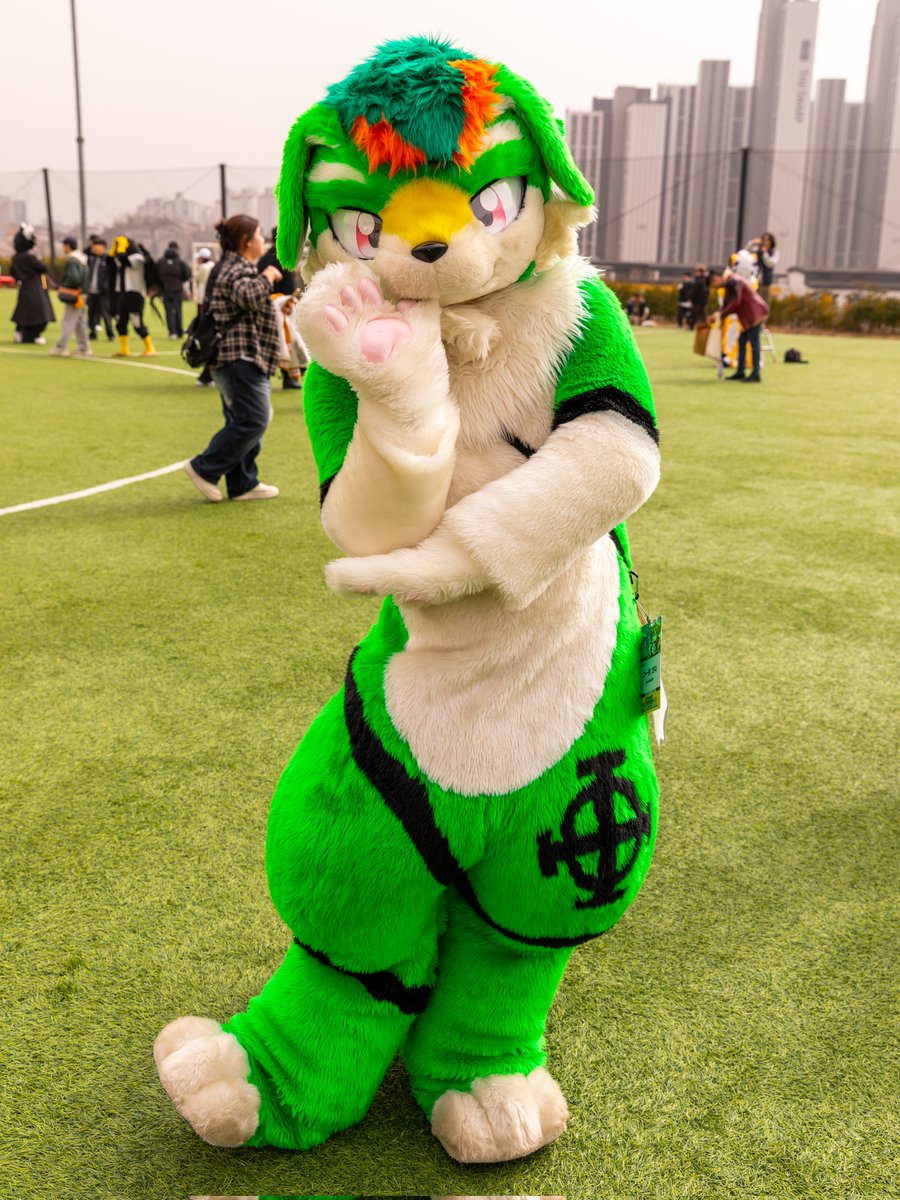 털뭉치앨범🍀 tweet media